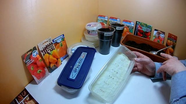 Замачивать ли семена перед посадкой.Плюсы и минусы при выращивании рассады из семян. смотреть онлайн