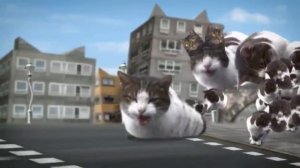 Cyriak Welcome to Kitty City .