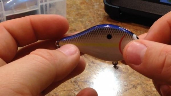 Lure Review- Ima Shaker