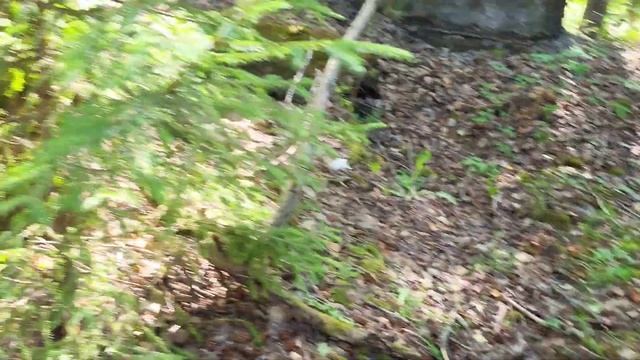 Выборг. Парк Монрепо. Часть 3. Vyborg. Mon Repos Park. Part 3. Viipuri. Mon Repos Park. Osa 3 смотреть онлайн