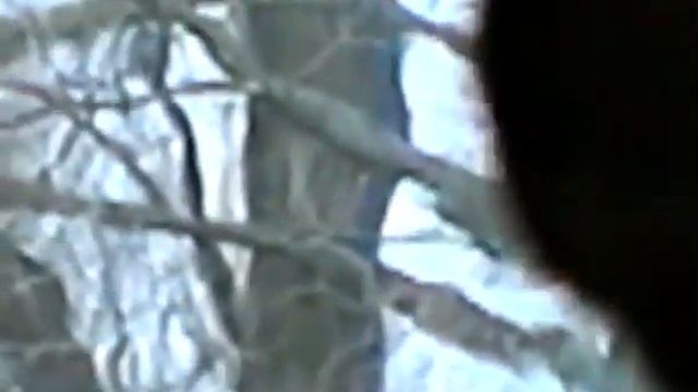 Н. Римский-Корсаков. Первая ария Марфы из оперы "Царская невеста". Исполняет Лидия Токарская смотреть онлайн