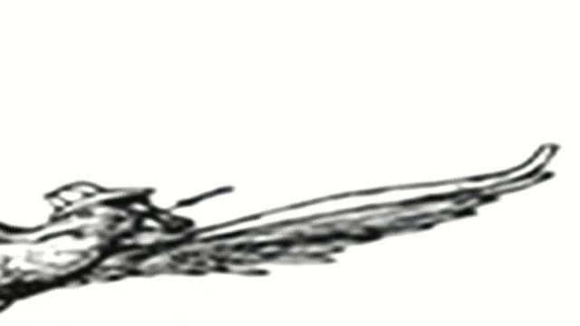 Hunter S Thompson Tribute