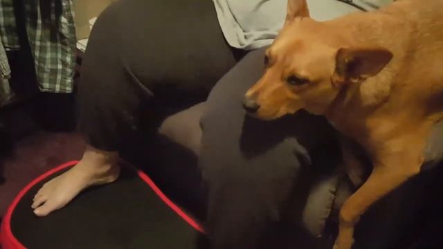 Pippa attempting to get rid of her double chin смотреть онлайн