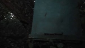 Как я наловил лесных роев  Пчеловодство ловля роев