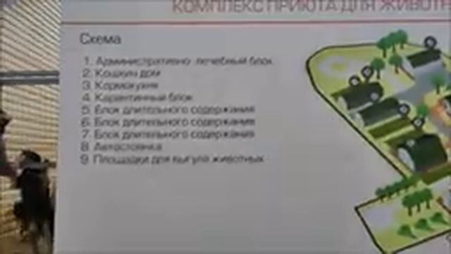 Актриса Татьяна Макарова с детьми из театральной мастерской Альтер Эго в приюте для собак Добрый дом смотреть онлайн
