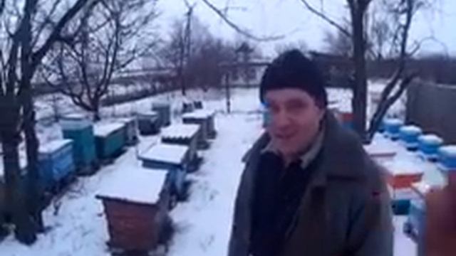 В гостях на пасеке у Ивана Многодетного. С 6 семей до 21 за год. смотреть онлайн