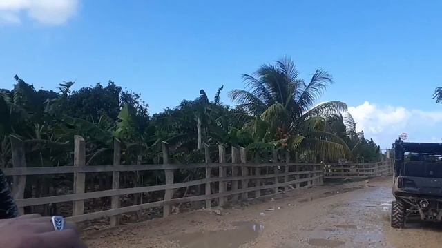 алина артем валерия смотреть онлайн