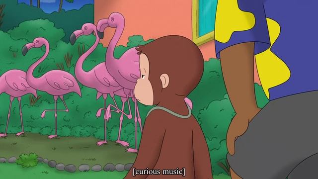 Curious George - 336 - Ready, Set, Flamin-go! (Learn English Language with subtitles) смотреть онлайн