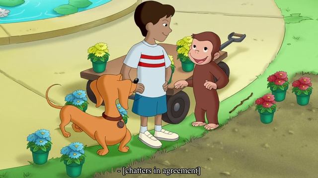 Curious George - 260 - Flower Monkey (Learn English Language with subtitles) смотреть онлайн