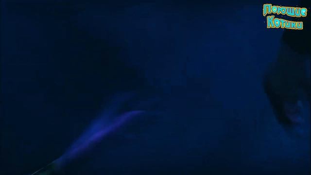 Где ты сейчас ? Alan Walker - Faded (Мульткавер на Русском)