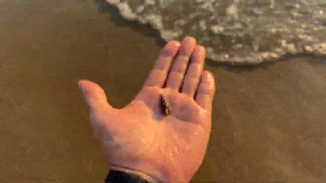 Прогулка парк Yanota Санья Хайнань Китай 🇨🇳 Sanya Hainan China 🇨🇳 смотреть онлайн