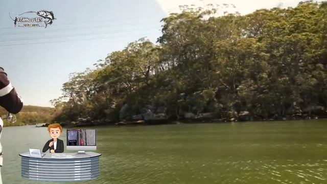 Shimano Nexave FE  Spinning Reel Review [2021 Published]