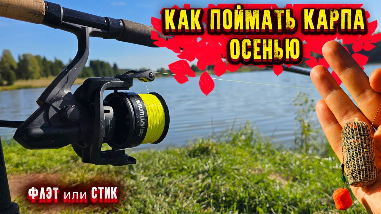 Ловля карпа Осенью Рыбалка на карпа осенью Осенняя ловля карпа Часть 2 смотреть онлайн