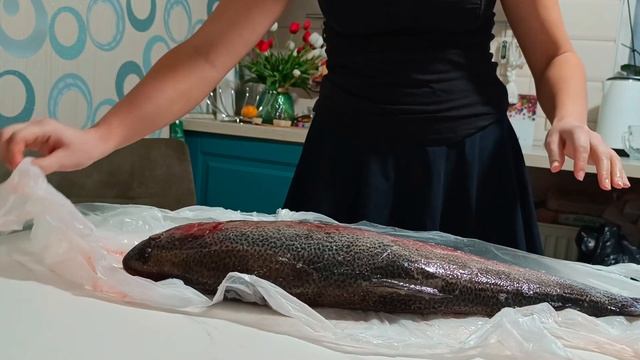 У нас рыбный день. Кого принёс сын! Зимняя рыбалка🐠🐋🐟 сколько попалось икры смотреть онлайн