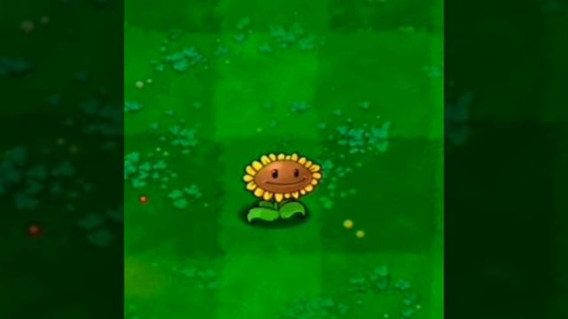 Подсолнух #shorts смотреть онлайн