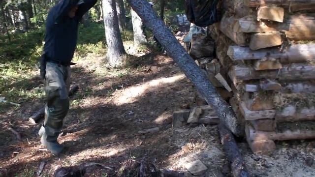 Ночь в избушке. смотреть онлайн