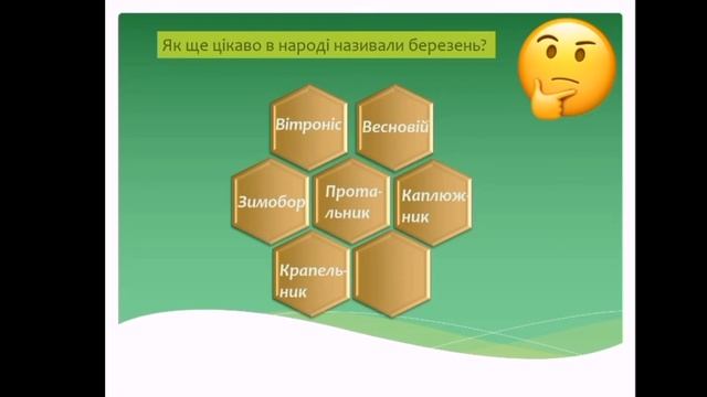 Віртуальна екскурсія до парку навесні смотреть онлайн