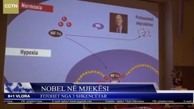 Jepet çmimi Nobel në mjekësi смотреть онлайн
