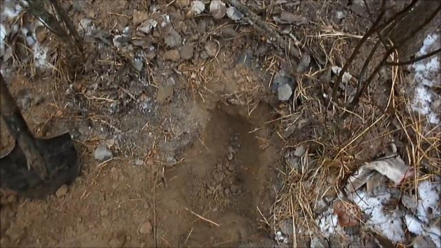 Видео поиска по старине №10 "Зимняя прогулка по лесу с МД"/ "Winter walk through the woods with SB" смотреть онлайн