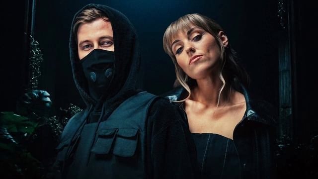 Alan Walker & Sasha Alex Sloan - Hero (Instrumental) смотреть онлайн