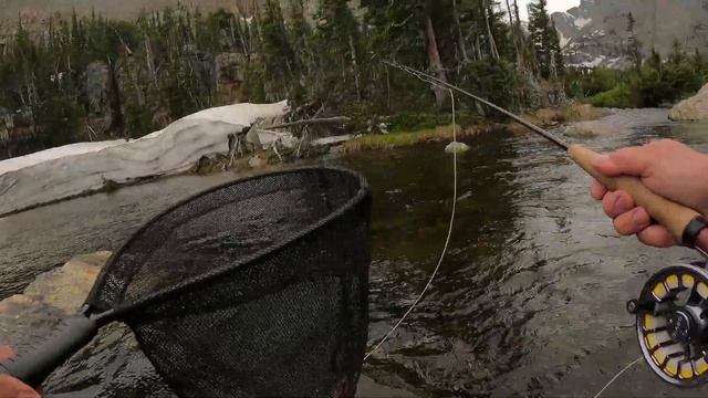 Fly Fishing Rocky Mountain National Park: Cutthroat Trout (Estes Park) смотреть онлайн