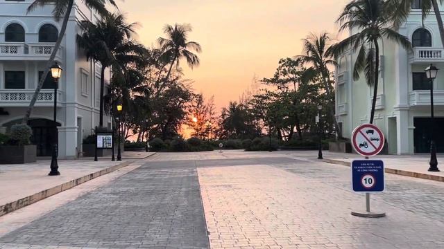 Фукок 2024 г.