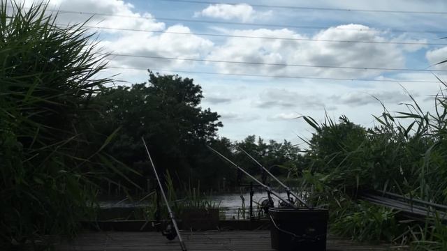 The Best Carp Fishing in London - Walthamstow with Jacob Worth смотреть онлайн