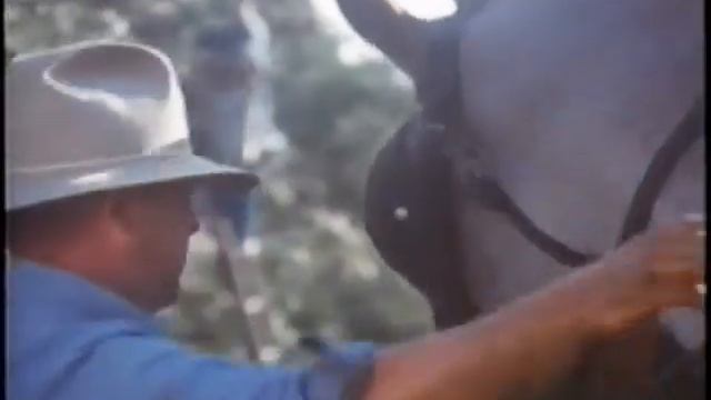 Birch Interval (1976)