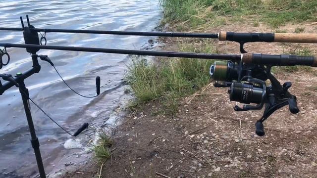 FAST CARP RUN! BIG CARP CZECH LAKE смотреть онлайн