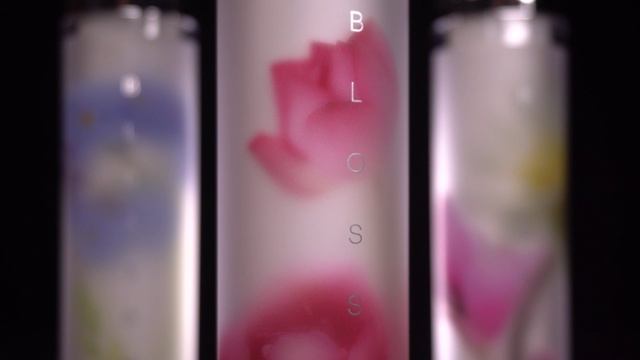 Матовая этикетка Blossom: эффект замороженных цветов смотреть онлайн