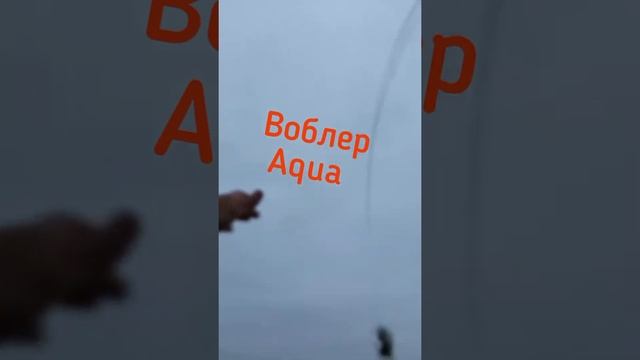 #щука #спиннинг #salmo #воблерaqua #градусы #pike #fishing " Луиза и" щука" )))) смотреть онлайн