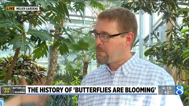 The history of ‘Butterflies are Blooming’ смотреть онлайн