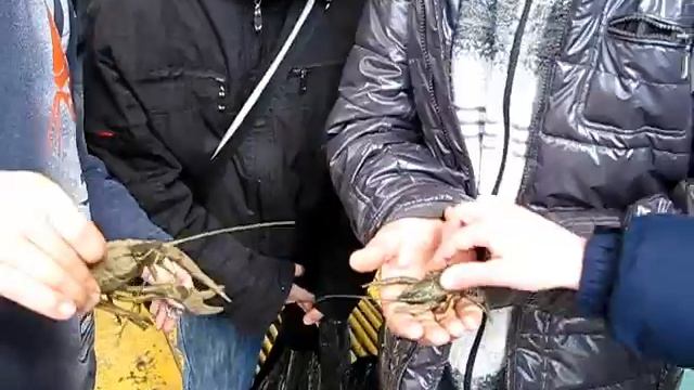 В ожидании автобуса поймали раков смотреть онлайн