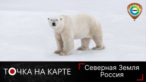 Хозяин Северной Земли. Неожиданные факты о белых медведях