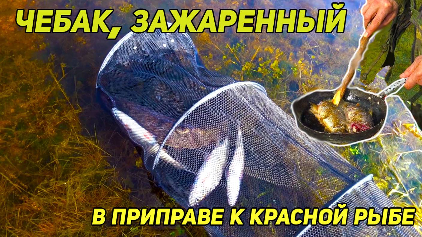 Чебак зажаренный на сковороде с приправами для красной рыбы. смотреть онлайн