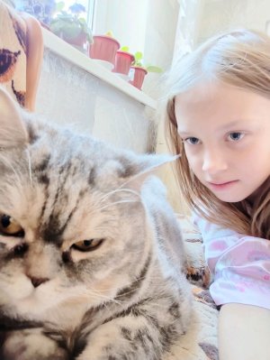 Добиваем 100 подписчиков