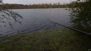 Ловля Щуки. ZEMEX Buriza