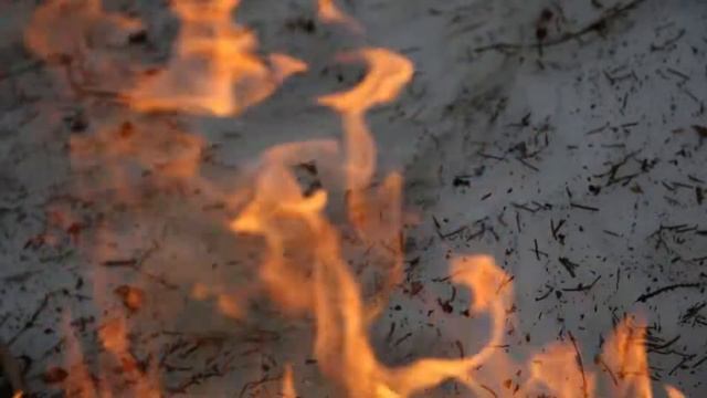 Giuseppe di Stefano - 'O sole mio смотреть онлайн