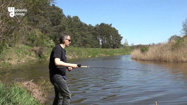 Piscifun Alijoz 300 - Multik Na Grube Ryby #wedkarskiedylematy #multiplikator #alijoz #fishing
