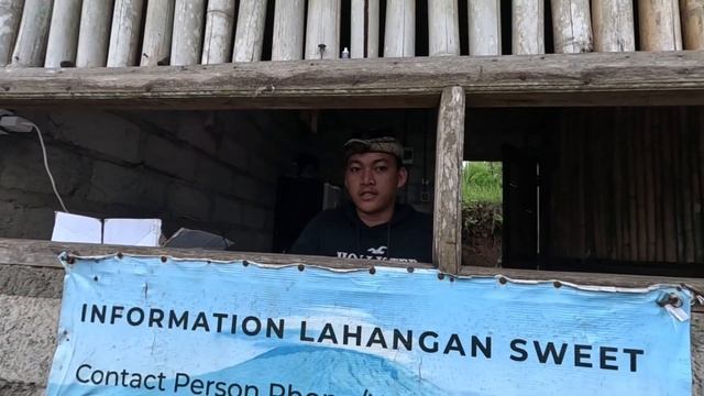 Путешествие по о. Бали 🌱 в сезон дождей на острове Бали. Январь 2024