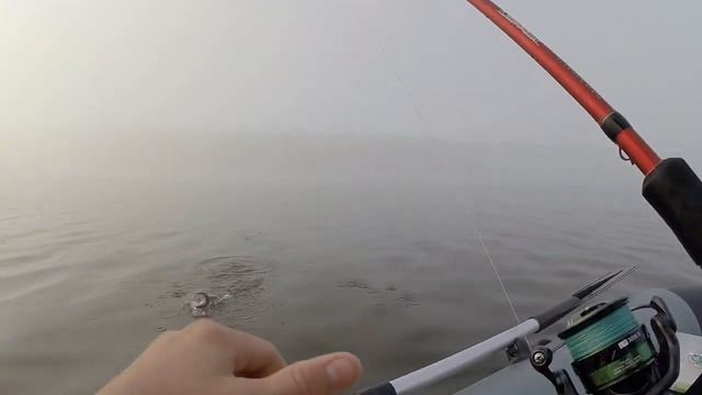 Окунь на тэйл-спиннер с лодки в тумане // perch on a tail spinner in the fog смотреть онлайн