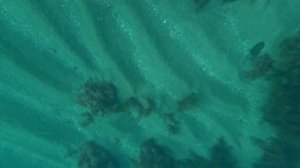 КАМБАЛА - КАЛКАН. ПОДВОДНАЯ ОХОТА В КРЫМУ.