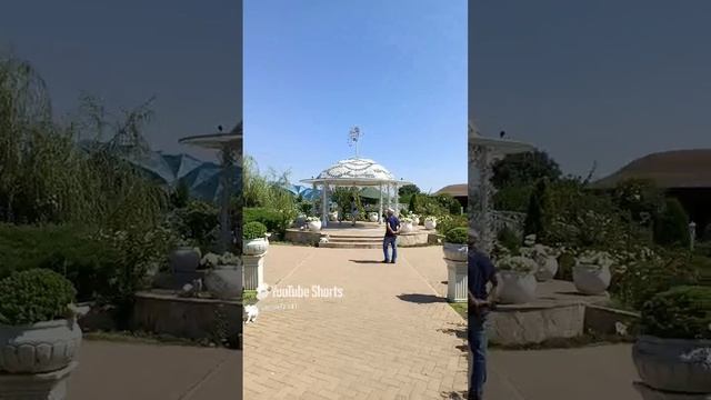 Наслаждаюсь прогулкой 🌿
