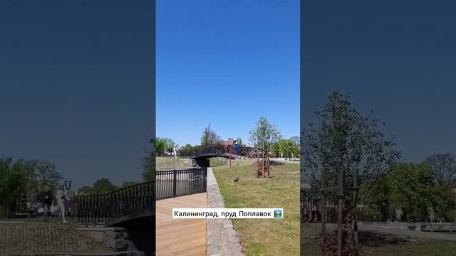 В Калининграде очень много объектов культуры и небольших парков. смотреть онлайн