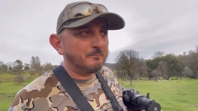 7 PRC vs puerco salvaje (todo salido de control) смотреть онлайн