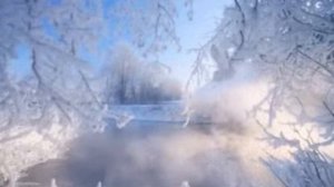 Ах, снегири! Красавцы, красногрудки, Стихи Елена Брызгалова, муз. и исп. #СамуилФрумович