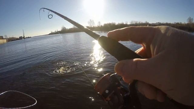 ZETRIX AMBITION-X AXS-702ML