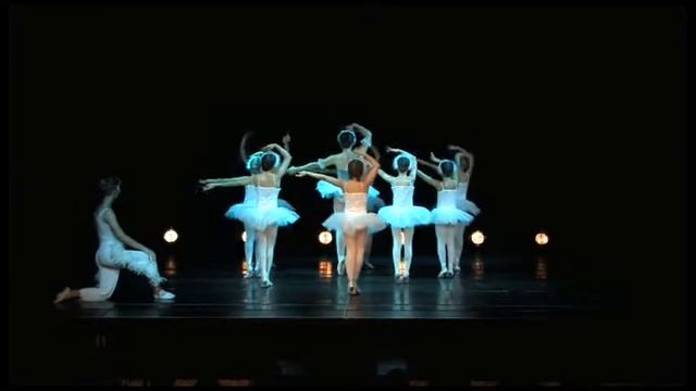 Swan Lake 1
