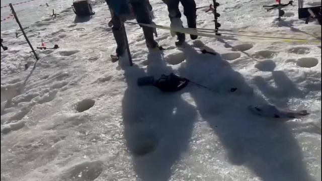 Поимки спорт зона Красногорск смотреть онлайн