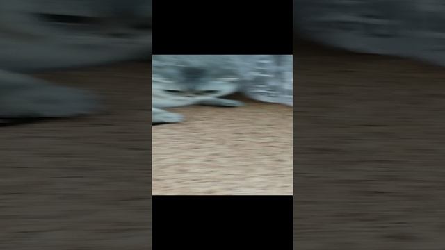 1000000128.mp4 смотреть онлайн
